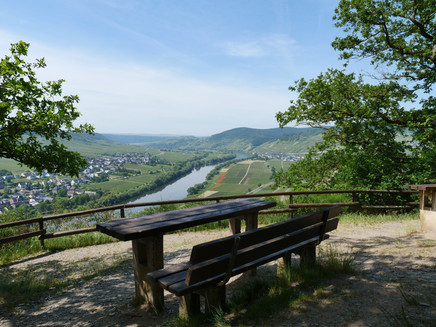Rastmöglichkeit oberhalb der Brauneberger Juffer